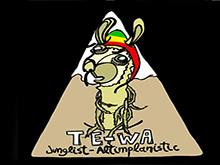 Portada vinilo “Te-Wa” (Bolivia)